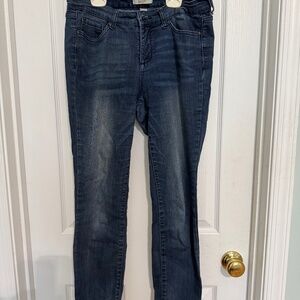 Vintage America Blues Boho Skinny Jean, size 6